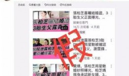 港媒最新爆料大料大全,最新爆料大料大全全解析