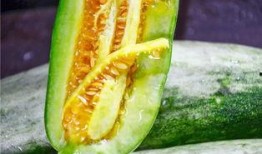 网络吃瓜网红是谁,揭秘“吃瓜网红”背后的故事